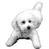 🐾 Эмодзи «𓆩 ᨦ 𝑒𝑛𝑑𝑙𝑒𝑠𝑠𝑙𝑦𝑝𝑎𝑖𝑛𝒻𝑢𝑙» для Telegram