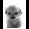 🐾 Эмодзи «𓆩 ᨦ 𝑒𝑛𝑑𝑙𝑒𝑠𝑠𝑙𝑦𝑝𝑎𝑖𝑛𝒻𝑢𝑙» для Telegram