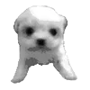 🐾 Эмодзи «𓆩 ᨦ 𝑒𝑛𝑑𝑙𝑒𝑠𝑠𝑙𝑦𝑝𝑎𝑖𝑛𝒻𝑢𝑙» для Telegram