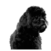 🐾 Эмодзи «𓆩 ᨦ 𝑒𝑛𝑑𝑙𝑒𝑠𝑠𝑙𝑦𝑝𝑎𝑖𝑛𝒻𝑢𝑙» для Telegram