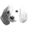 🐾 Эмодзи «𓆩 ᨦ 𝑒𝑛𝑑𝑙𝑒𝑠𝑠𝑙𝑦𝑝𝑎𝑖𝑛𝒻𝑢𝑙» для Telegram