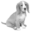 🐾 Эмодзи «𓆩 ᨦ 𝑒𝑛𝑑𝑙𝑒𝑠𝑠𝑙𝑦𝑝𝑎𝑖𝑛𝒻𝑢𝑙» для Telegram