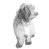 🐾 Эмодзи «𓆩 ᨦ 𝑒𝑛𝑑𝑙𝑒𝑠𝑠𝑙𝑦𝑝𝑎𝑖𝑛𝒻𝑢𝑙» для Telegram