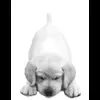 🐾 Эмодзи «𓆩 ᨦ 𝑒𝑛𝑑𝑙𝑒𝑠𝑠𝑙𝑦𝑝𝑎𝑖𝑛𝒻𝑢𝑙» для Telegram