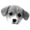 🐾 Эмодзи «𓆩 ᨦ 𝑒𝑛𝑑𝑙𝑒𝑠𝑠𝑙𝑦𝑝𝑎𝑖𝑛𝒻𝑢𝑙» для Telegram