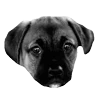 🐾 Эмодзи «𓆩 ᨦ 𝑒𝑛𝑑𝑙𝑒𝑠𝑠𝑙𝑦𝑝𝑎𝑖𝑛𝒻𝑢𝑙» для Telegram