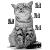 🐾 Эмодзи «𓆩 ᨦ 𝑒𝑛𝑑𝑙𝑒𝑠𝑠𝑙𝑦𝑝𝑎𝑖𝑛𝒻𝑢𝑙» для Telegram