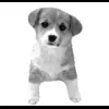 🐾 Эмодзи «𓆩 ᨦ 𝑒𝑛𝑑𝑙𝑒𝑠𝑠𝑙𝑦𝑝𝑎𝑖𝑛𝒻𝑢𝑙» для Telegram