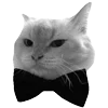 🐾 Эмодзи «𓆩 ᨦ 𝑒𝑛𝑑𝑙𝑒𝑠𝑠𝑙𝑦𝑝𝑎𝑖𝑛𝒻𝑢𝑙» для Telegram