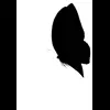 🐾 Эмодзи «𓆩 ֢ ᨦ 𝑒𝑛𝑑𝑙𝑒𝑠𝑠𝑙𝑦𝑝𝑎𝑖𝑛𝒻𝑢𝑙 ᨩ ֢ 𓆪» для Telegram