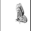 🐾 Эмодзи «𓆩 ֢ ᨦ 𝑒𝑛𝑑𝑙𝑒𝑠𝑠𝑙𝑦𝑝𝑎𝑖𝑛𝒻𝑢𝑙 ᨩ ֢ 𓆪» для Telegram