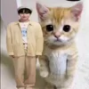 ⚡️ Эмодзи «Enha» для Telegram