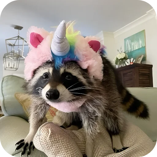 ☺️ Стикер «Енотики 1» для Telegram