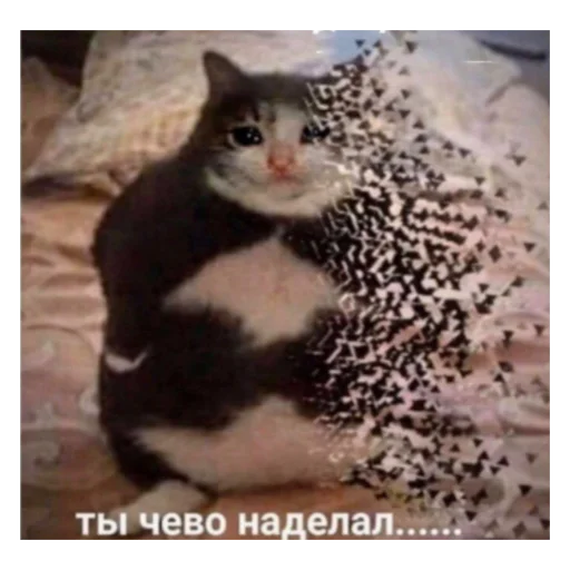 😢 Стикер «ЭТО ЖИЗНЬ» для Telegram