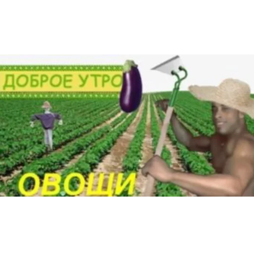 👋 Стикер «ЭТО ЖИЗНЬ» для Telegram