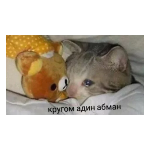 😢 Стикер «ЭТО ЖИЗНЬ» для Telegram