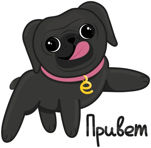 Стикерпак Eva The Pug для Telegram — скачать
