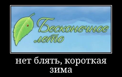 🥴 Стикер «Совёнок» для Telegram