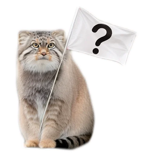 ❔ Стикер «Everyday Manul» для Telegram
