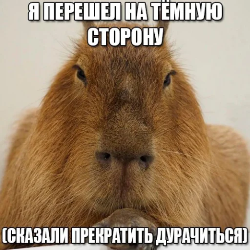 Стикерпак explain ur smolness для Telegram — скачать