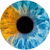 👁️ Эмодзи «Глазки» для Telegram