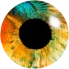 👁️ Эмодзи «Глазки» для Telegram