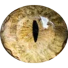 👁️ Эмодзи «Глазки» для Telegram