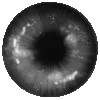 👁 Эмодзи «Eyes» для Telegram