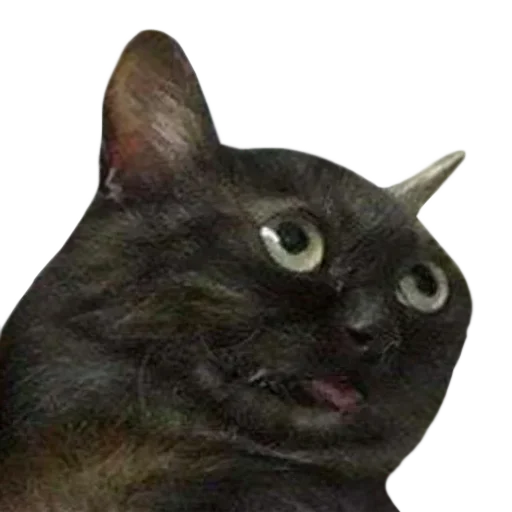 🐱 Стикер «...» для Telegram