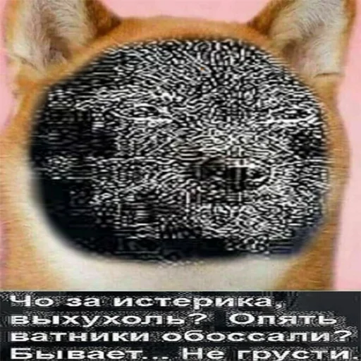 😎 Стикер «...» для Telegram