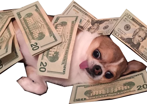 💰 Стикер «Halp» для Telegram