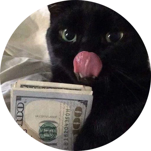 💸 Стикер «Halp» для Telegram