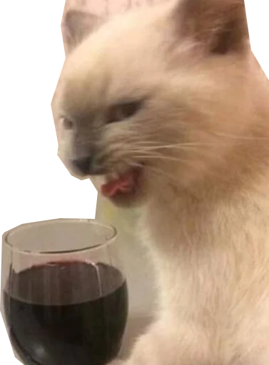 🍷 Стикер «Halp» для Telegram