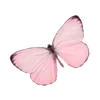 🌟 Эмодзи «girlie stuff» для Telegram