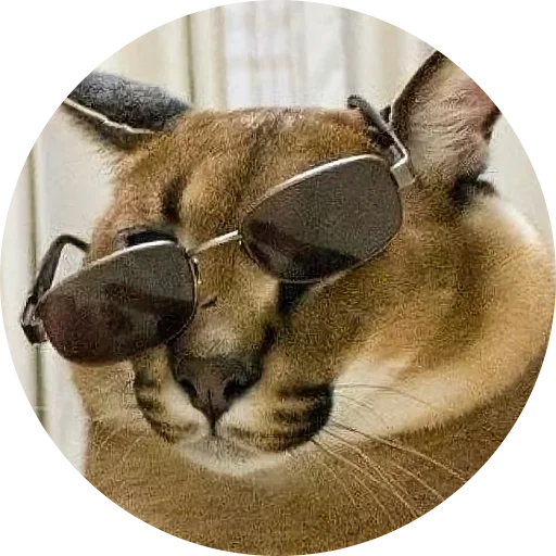 Стикерпак Fake Circle для Telegram — скачать