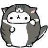 🐱 Эмодзи «Fat Animals ʕ» для Telegram