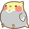🦜 Эмодзи «Fat Animals ʕ» для Telegram
