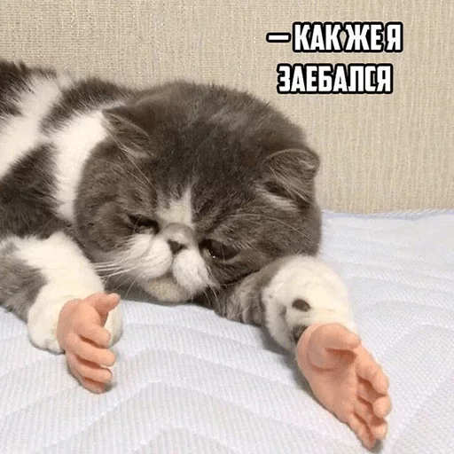 😆 Стикер «Fave Stickers» для Telegram