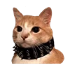🐱 Эмодзи «Fcking Cats» для Telegram