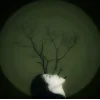 💧 Эмодзи «Февраль» для Telegram