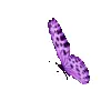 🦋 Эмодзи «ʚ ɞ» для Telegram