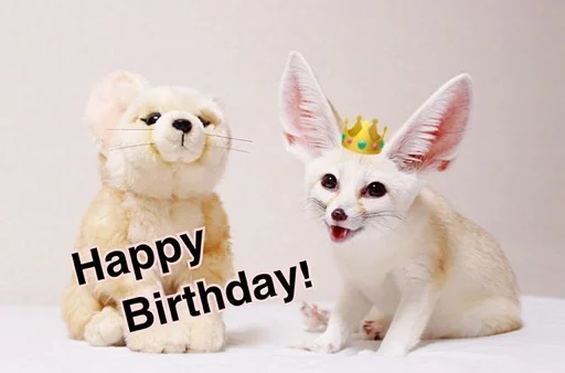 🎂 Стикер «FensFennecPack» для Telegram