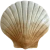 🫥 Эмодзи «Fisherman core» для Telegram