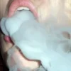🚬 Эмодзи «fine» для Telegram