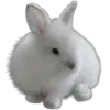 🐰 Эмодзи «flawless» для Telegram