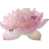 🌟 Эмодзи «fleur» для Telegram