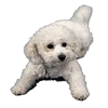 😘 Эмодзи «Flex Animations» для Telegram