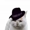 🥰 Эмодзи «Flex Animations» для Telegram