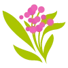 🌿 Эмодзи «flowers - цветы» для Telegram
