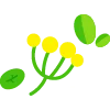 🌿 Эмодзи «flowers - цветы» для Telegram
